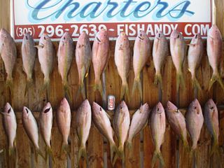 6 Yellowtail Snapper Fishing Tips to Help You Catch More Fish